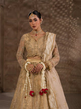 Full-length champagne gold lehenga with embellished blouse